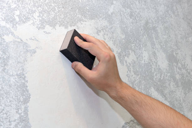 Best Mold Prevention Services  in Leo Cedarville, IN