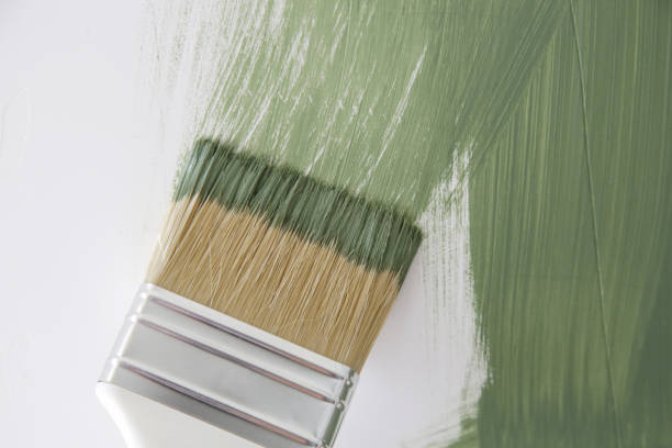 Best Emergency Mold Remediation  in Leo Cedarville, IN