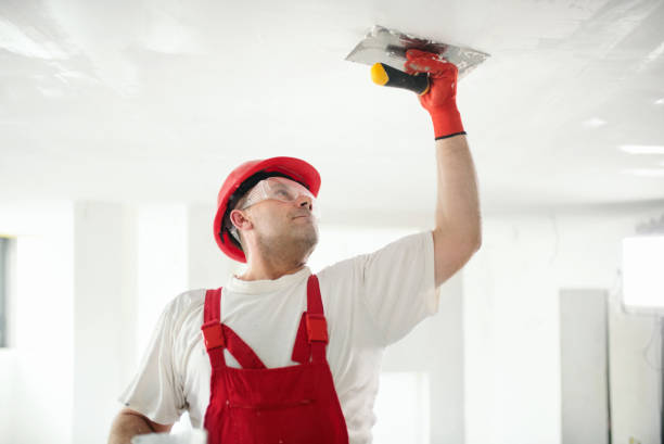 Best Mold Damage Restoration  in Leo Cedarville, IN