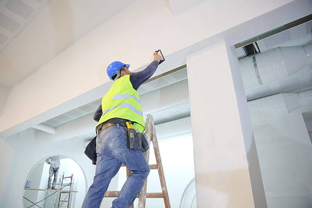 Best Mold Removal for HVAC Installations  in Leo Cedarville, IN