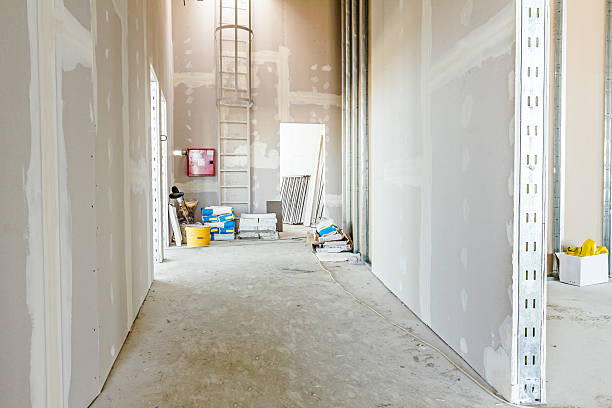 Best Dehumidification Services  in Leo Cedarville, IN
