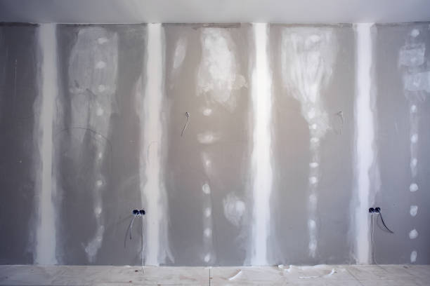 Best Real Estate Mold Inspection  in Leo Cedarville, IN